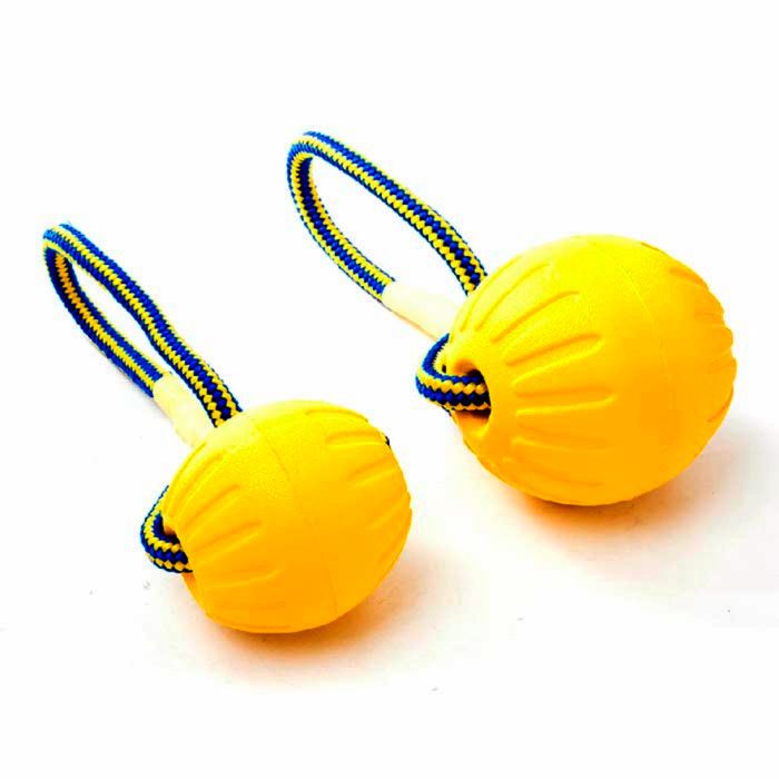 М'яч Fetch Ball на мотузці