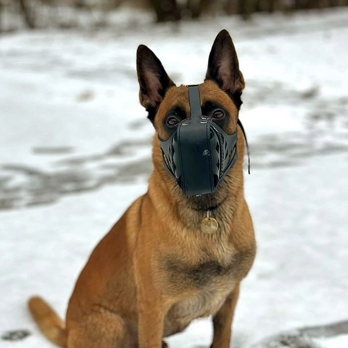 Намордник "Поліція"